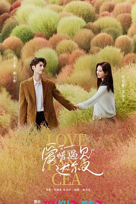 西北seo排名怎么合作